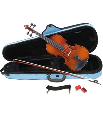 Amazon | EASTMAN VL80ｾｯﾄ 4/4 バイオリンセット (イーストマン